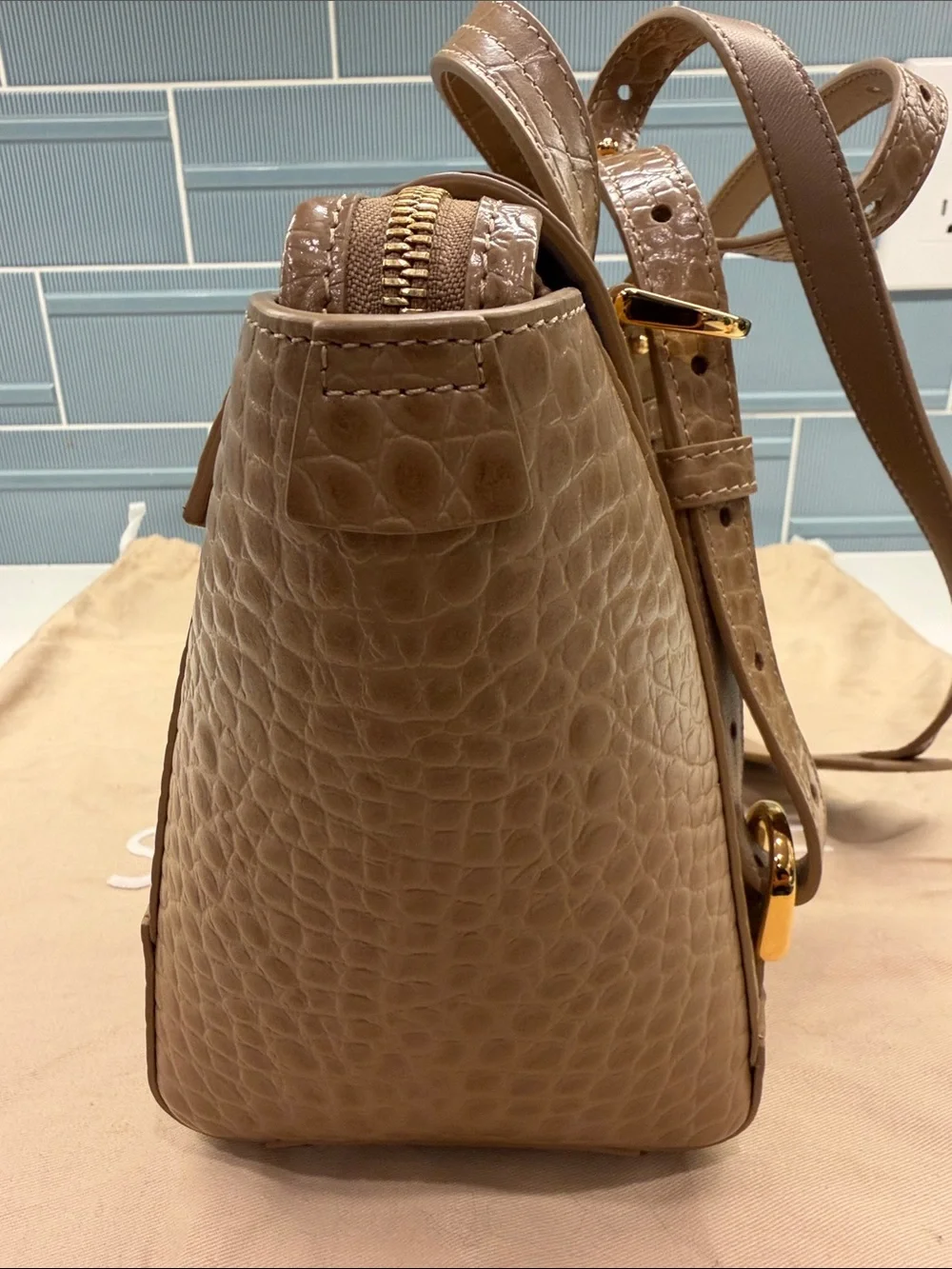 Senreve Croc-Embossed Leather Satchel in Tan